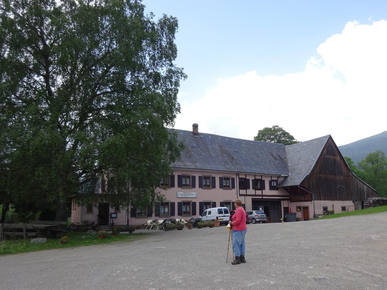 Cuisine alsacienne à Metzeral proche de Munster dans le Haut-Rhin en Alsace 68 : Auberge du Braunkopf