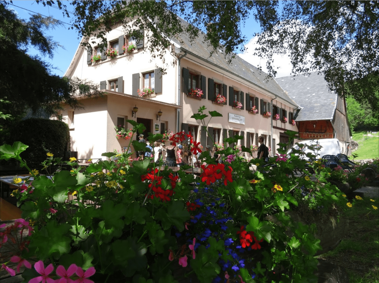 Cuisine alsacienne à Metzeral proche de Munster dans le Haut-Rhin en Alsace 68 : Terrasse du Braunkopf