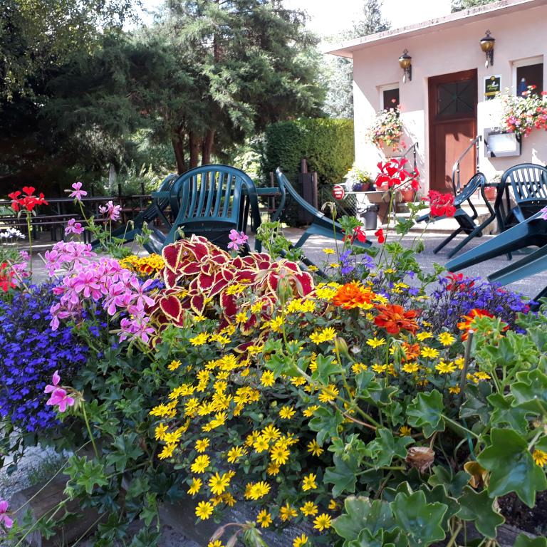 Auberge Braunkopf - Ferme auberge pour groupes à Metzeral près de Munster dans le Haut-Rhin en Alsace : Terrasse